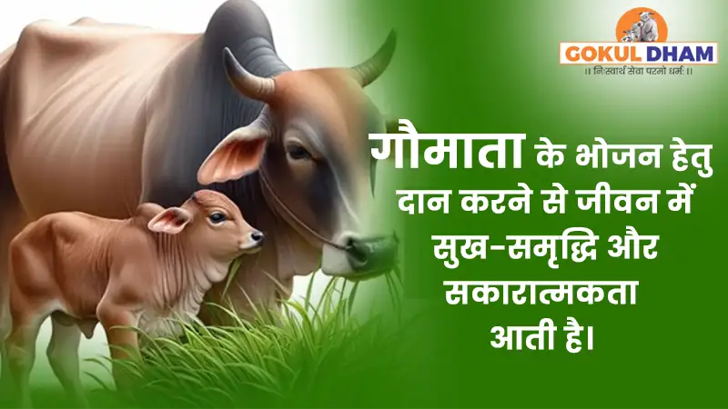 Ambulance-cow-treatement